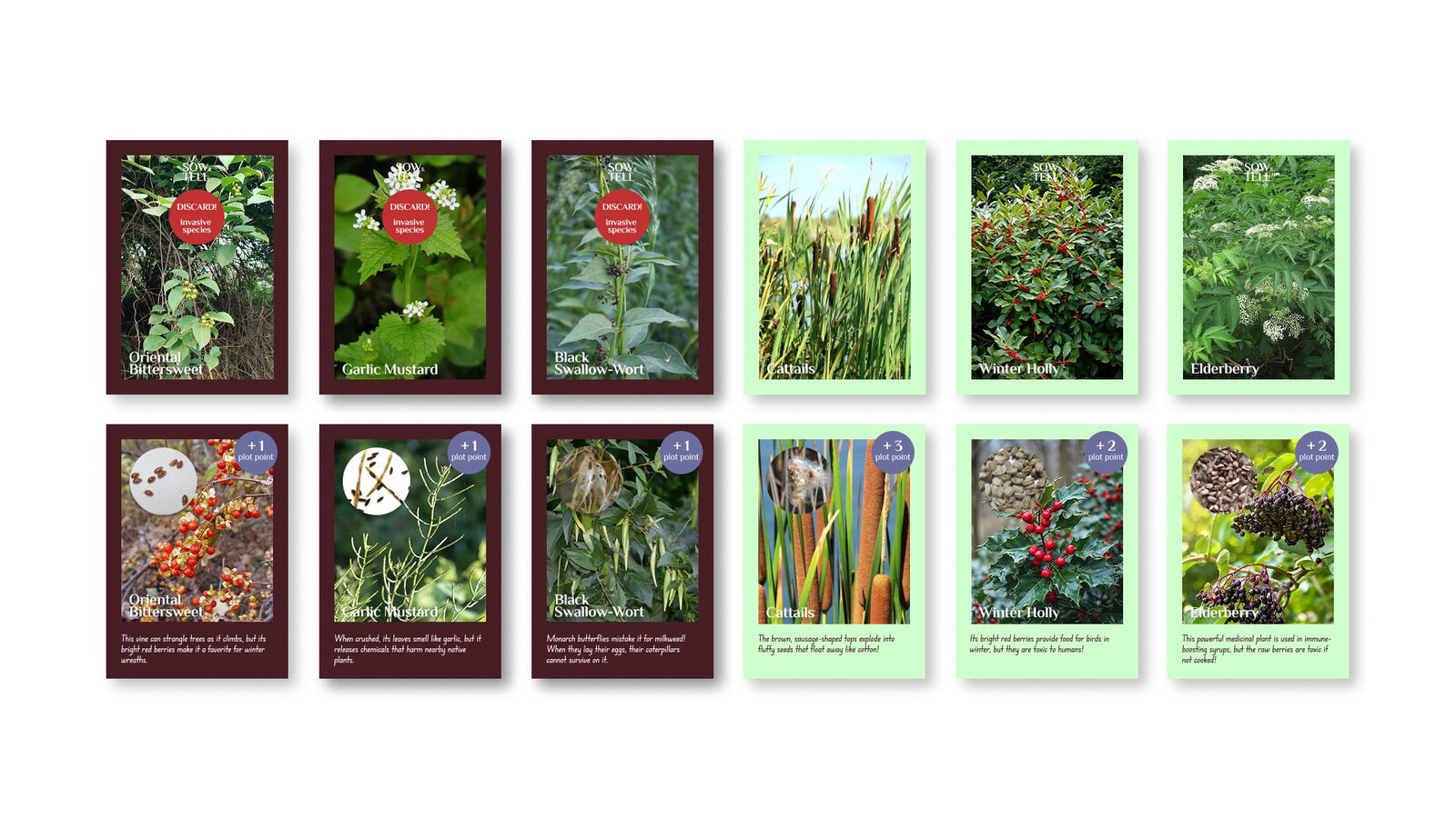 Sow and Tell plant ID cards: invasive species with red borders (Oriental Bittersweet, Garlic Mustard, Black Swallow-Wort) marked DISCARD, and shrubs with green borders (Cattails, Winter Holly, Elderberry) showing seed close-ups and fun facts