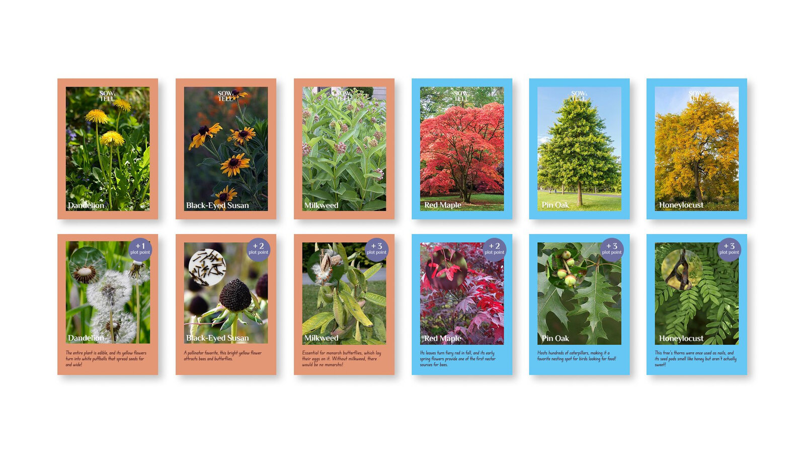 Sow and Tell plant ID cards: wildflowers with orange borders (Dandelion, Black-Eyed Susan, Milkweed) and trees with blue borders (Red Maple, Pin Oak, Honeylocust) showing seed close-ups, plot point values, and fun facts